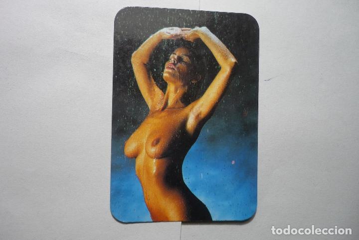Calendars: calendario bolsillo desnudo 1990