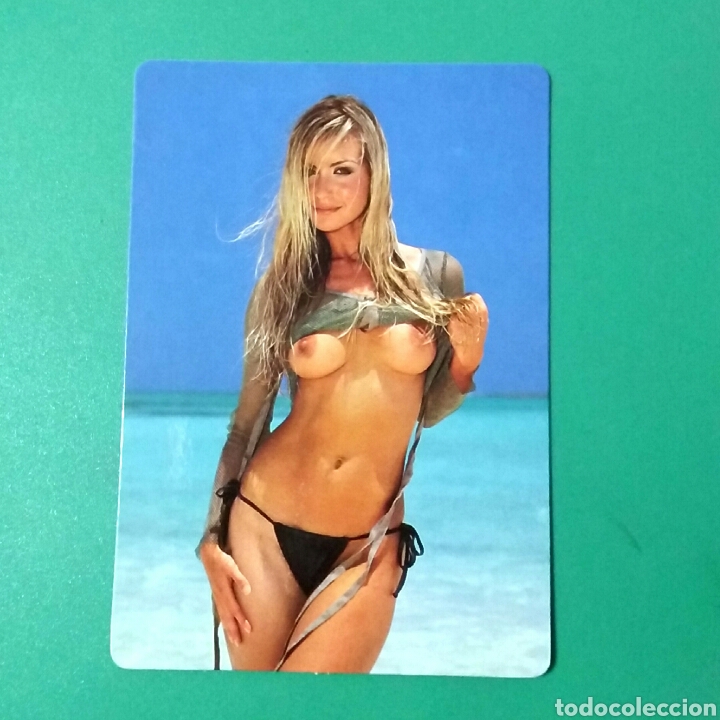 Kalender: CALENDARIO DE BOLSILLO 2006