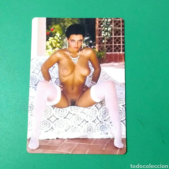 Kalender: CALENDARIO DE BOLSILLO 2006