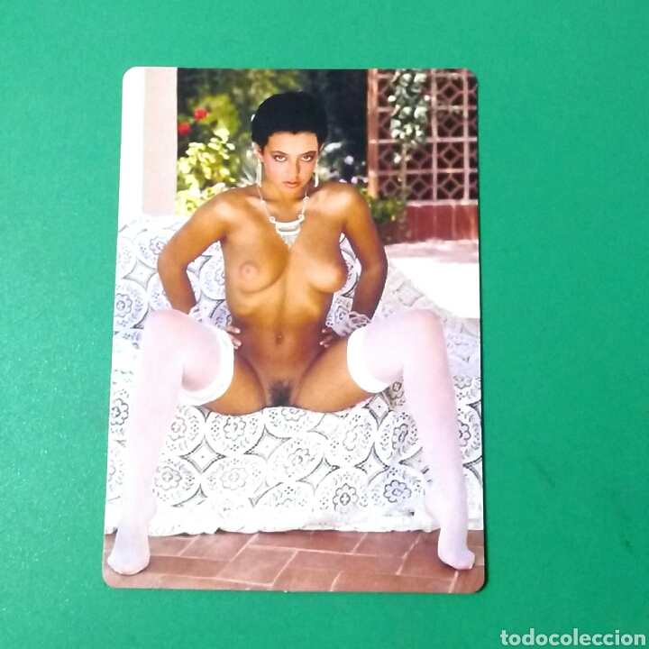 Kalender: CALENDARIO DE BOLSILLO 2006