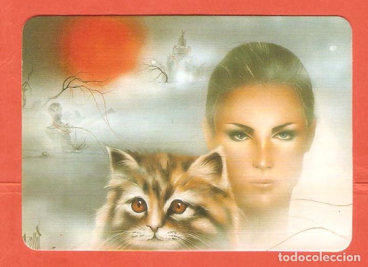 Calendriers: CALENDARIO DE BOLSILLO DE SERIE  A&Ntilde;O 1993  BO. 5.697  DIBUJO CHICA Y GATO -  PUBLICIDAD REVERSO