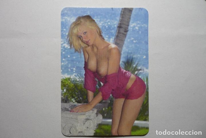 Calendriers: desnudo femenino 2009