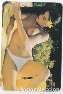 Calendars: Calendario se&ntilde;orita, chica, desnudos femeninos 1995 ( en portugu&eacute;s )
