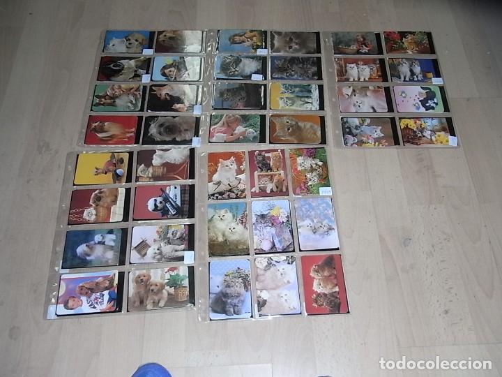 Calendars: calendarios de gatos, 99 calendarios