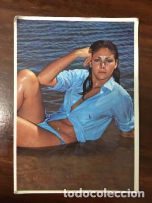 Calendriers: CALENDARIO SE&Ntilde;ORITA A&Ntilde;O 1976   CAL-7663