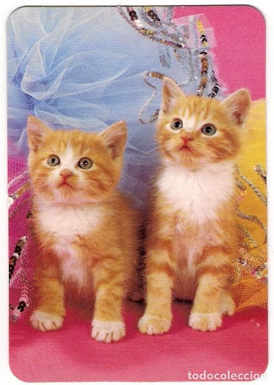 Kalender: -70531 CALENDARIO GATOS CON TUTU, A&Ntilde;O 2004, SERIE L 111, ANIMALES, CON PUBLICIDAD, PRECIOSA FOTO