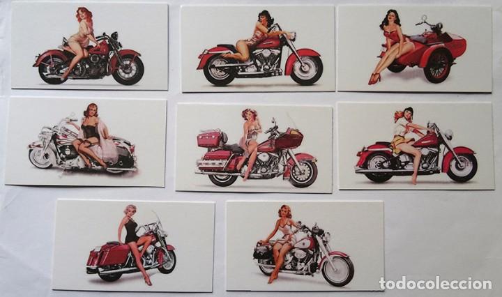 Kalender: chicas con moto, serie de 8 calendarios, 2008