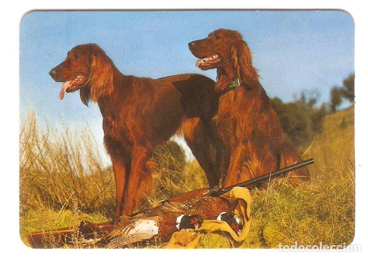 Calendars: CALENDARIO DE BOLSILLO DE SERIE A&Ntilde;O 1993 BO 5.750 PERROS - PUBLICIDAD EN REVERSO