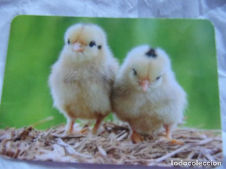 Calendars: CALENDARIO DE BOLSILLO -A&ntilde;o 2017