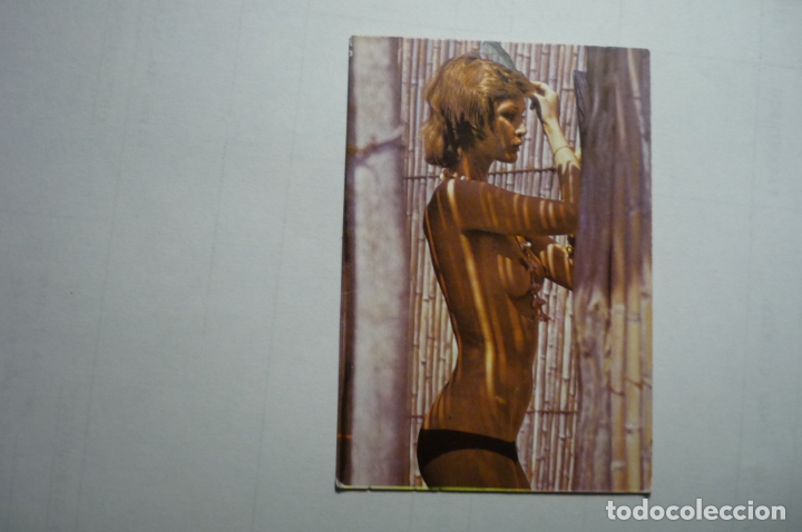Calendars: calendario desnudo femenino 1976