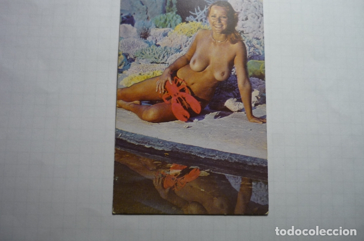 Calendars: calendario desnudo femenino 1977