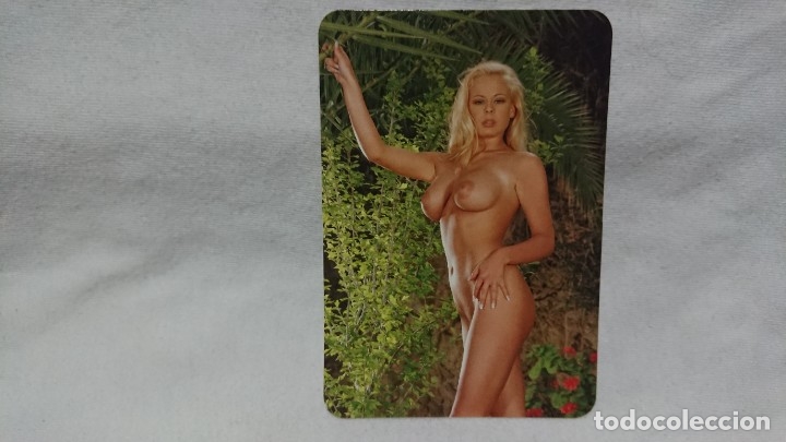 Calendars: CALENDARIO NO FOURNIER SERIE CHICA A&Ntilde;O 2005