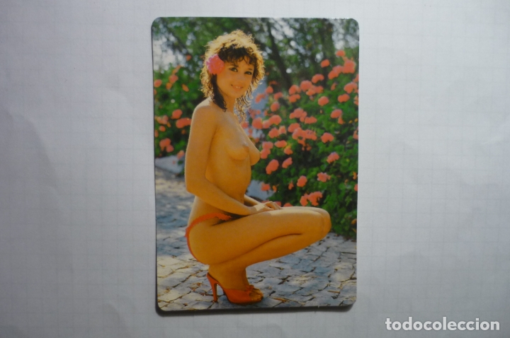 Calendars: calendario desnudo femenino -2008