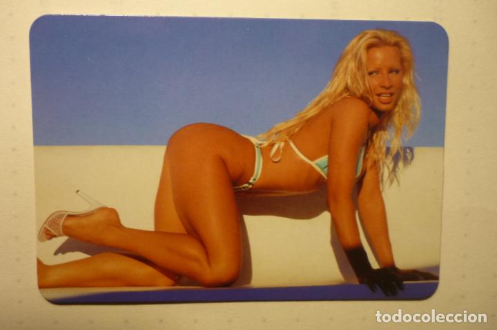 Kalender: CALENDARARIO DESNUDO FEMENINO -2004