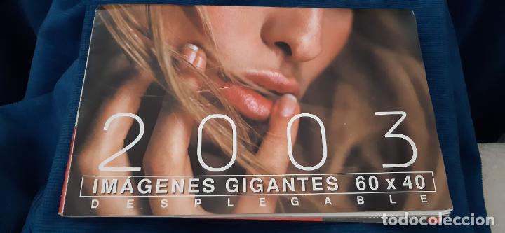 Calendarios: CALENDARIO DT 2003 IM&Aacute;GENES GIGANTES 60 X 40 DESPLEGABLE