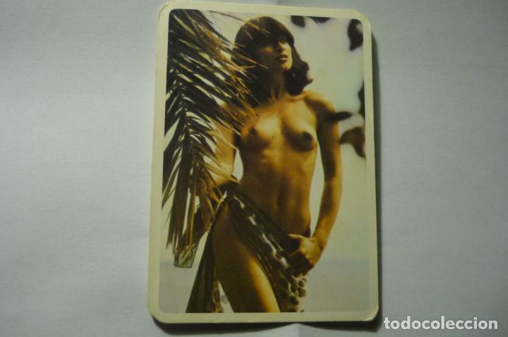 Calendars: CALENDARIO DESNUDO FEMENINO EXTRANJERO 1984