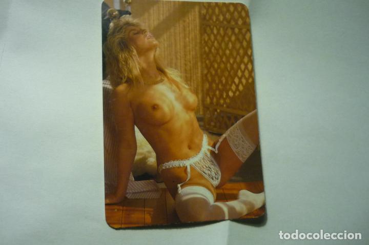 Calendars: CALENDARIO DESNUDO FEMENINO 1995