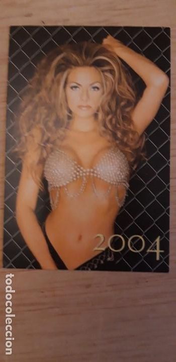 Calendars: 1 CALENDARIO DE ** PUBLICIDAD .CHICA ** DE RUSIA A&Ntilde;O 2004