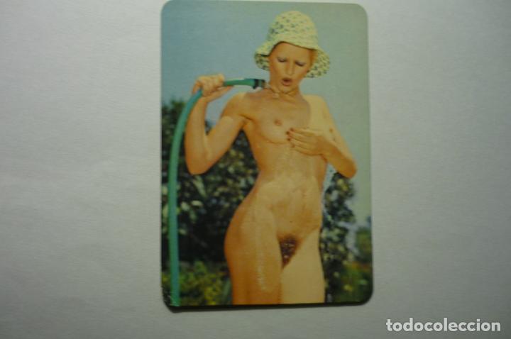 Calendars: calendario desnudo femenino 1978