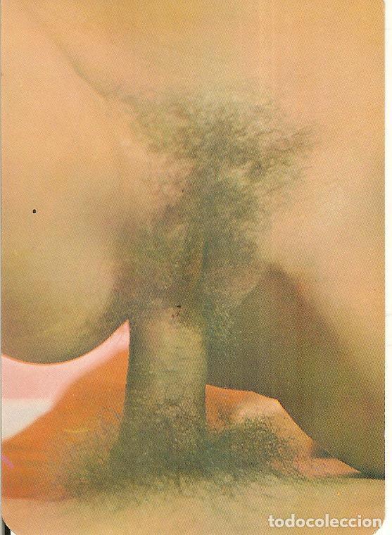 Kalender: CALENDARIO DE PORTUGAL - 1986 - PORNOGR&Aacute;FICO