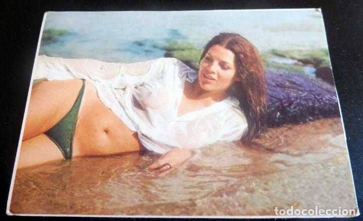 Kalender: CALENDARIO DE BOLSILLO - DESNUDOS - MUJER - CHICA - A&Ntilde;O 1976 SIN PUBLICIDAD (VER FOTOS ADICIONALES)