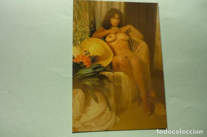 Kalender: calendario desnudo femenino 1978