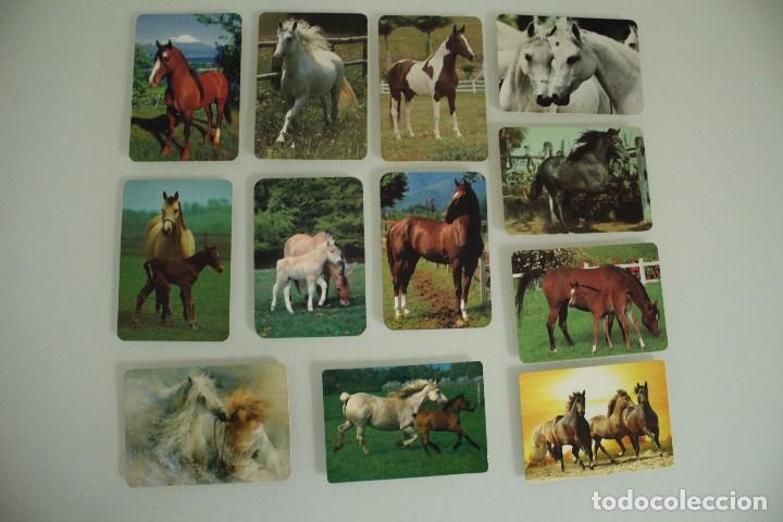 Calendriers: 11 CALENDARIOS DE BOLSILLO CABALLOS