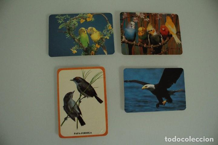 Calendriers: 4 CALENDARIOS DE BOLSILLO AVES