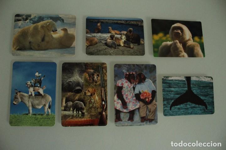 Calendriers: 7 CALENDARIOS DE BOLSILLO ANIMALES