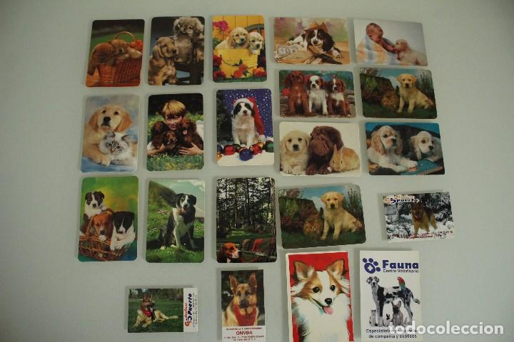 Calendriers: 21 CALENDARIOS DE BOLSILLO PERROS