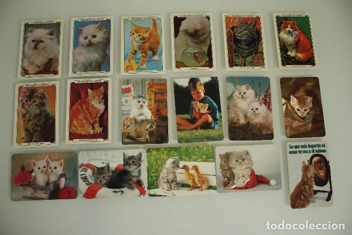 Calendriers: 17 CALENDARIOS DE BOLSILLO GATOS