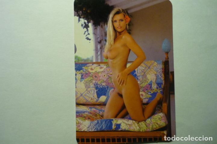 Calendriers: calendario desnudo femenino 2004