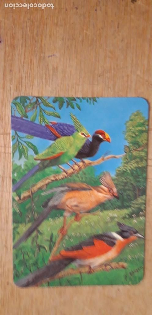 Kalender: 1 CALENDARIO SERIADO DE ** AVES ** . L 377 . A&Ntilde;O 1994. CON PUBLICIDAD