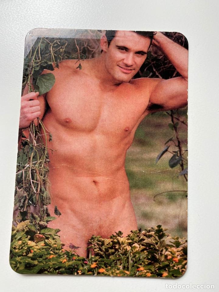 Calendars: CALENDARIO ER&Oacute;TICO. CON PUBLICIDAD. 2004. L-227. VER FOTOS