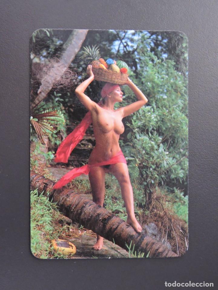 Calendars: Calendario bolsillo - DESNUDO MUJER CHICA - SERIE MC n&ordm; 162 - A&ntilde;o 1995