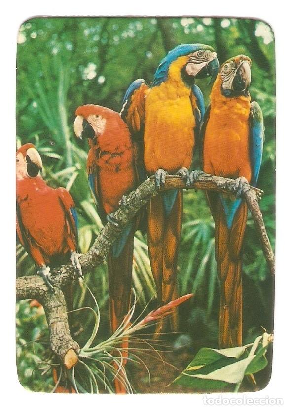 Kalender: CALENDARIO DE BOLSILLO DE SERIE DEL A&Ntilde;O 1978 FAUNA - AVES - VER FOTO REVERSO