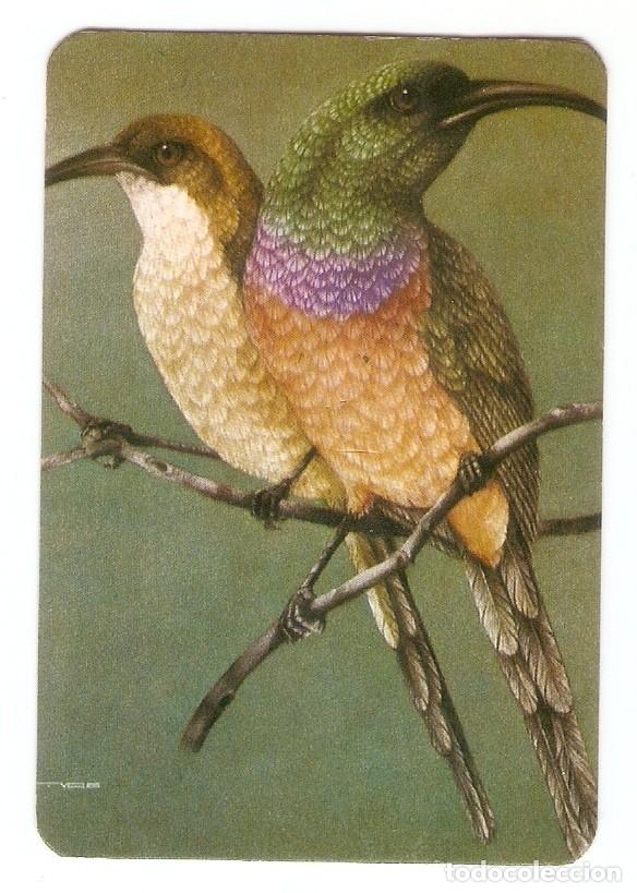 Kalender: CALENDARIO DE BOLSILLO DE SERIE DEL A&Ntilde;O 1981 FAUNA - AVES - VER FOTO REVERSO