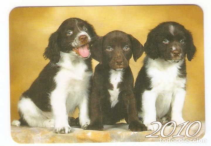 Calendriers: CALENDARIO DE BOLSILLO EXTRANJERO A&Ntilde;O 2010 FAUNA - PERROS - VER FOTO REVERSO