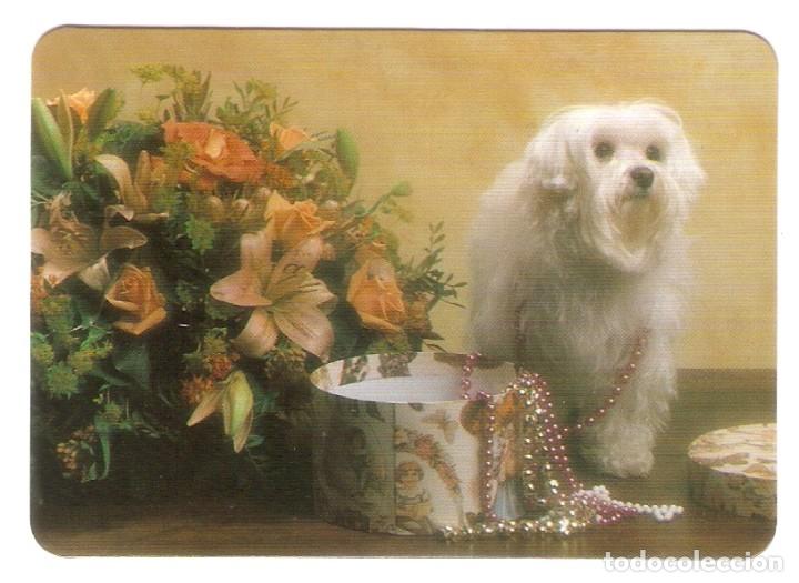 Calendriers: CALENDARIO DE BOLSILLO DE SERIE A&Ntilde;O 1998 FAUNA - PERRO - VER FOTO REVERSO