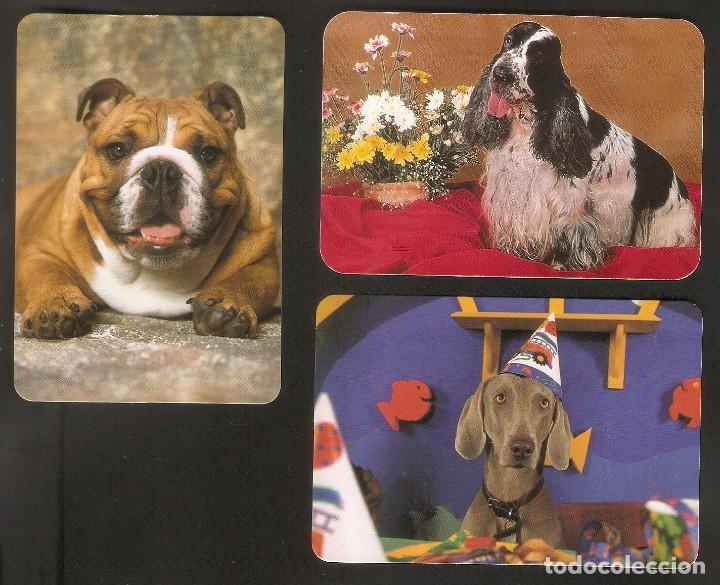 Calendriers: 3 CALENDARIOS DE BOLSILLO DE SERIE A&Ntilde;O 2000 FAUNA - PERROS - VER FOTO REVERSOS