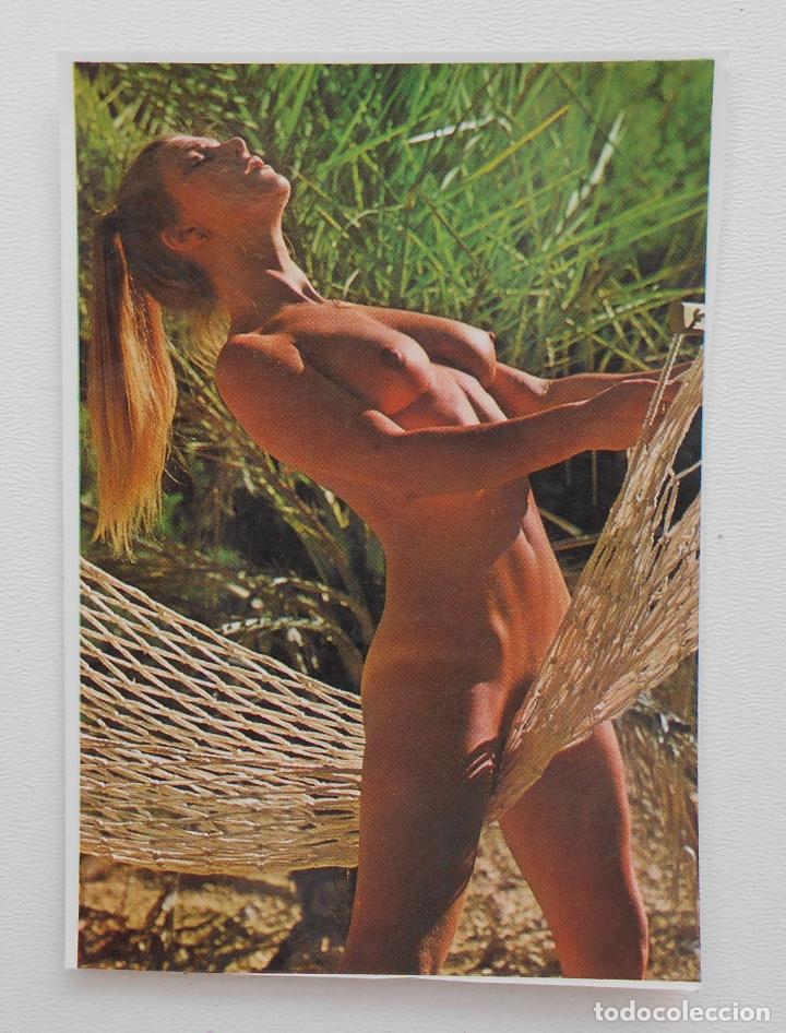 Kalender: CALENDARIO CHICAS A&Ntilde;O 1980