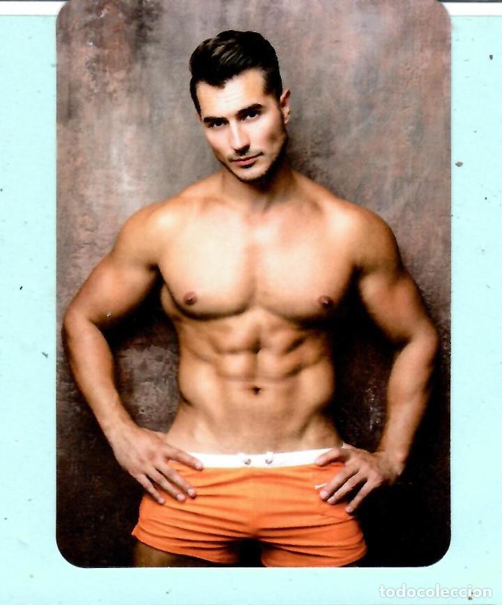 Calendars: CALENDARIOS DE BELLO CABALLERO DE CASA L, N&ordm; 146 SIN PUBLICIDAD