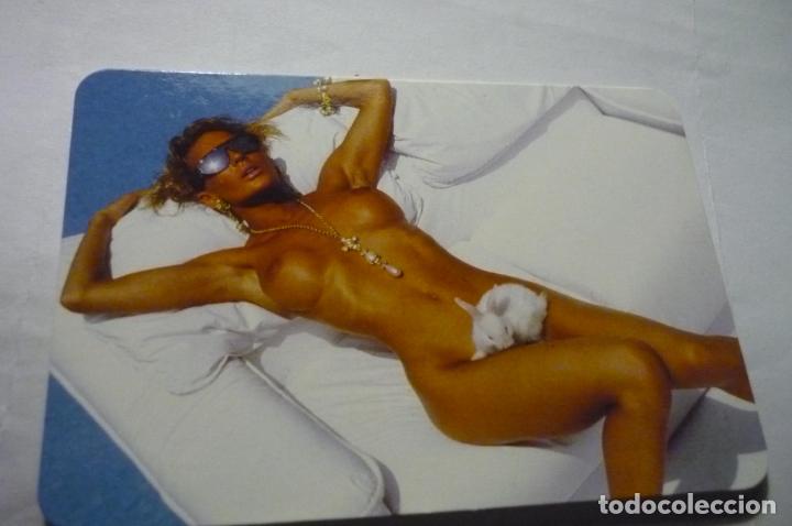 Calendriers: calendario desnudo femenino 2004