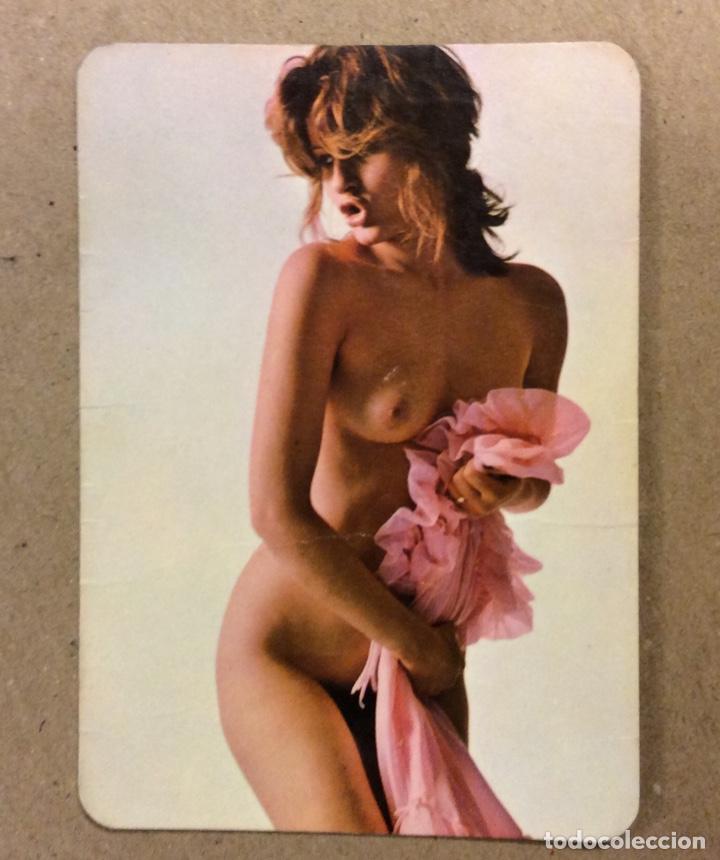 Kalender: BAR LAIDA (BASAURI). CALENDARIO PUBLICITARIO ER&Oacute;TICO DE 1978.