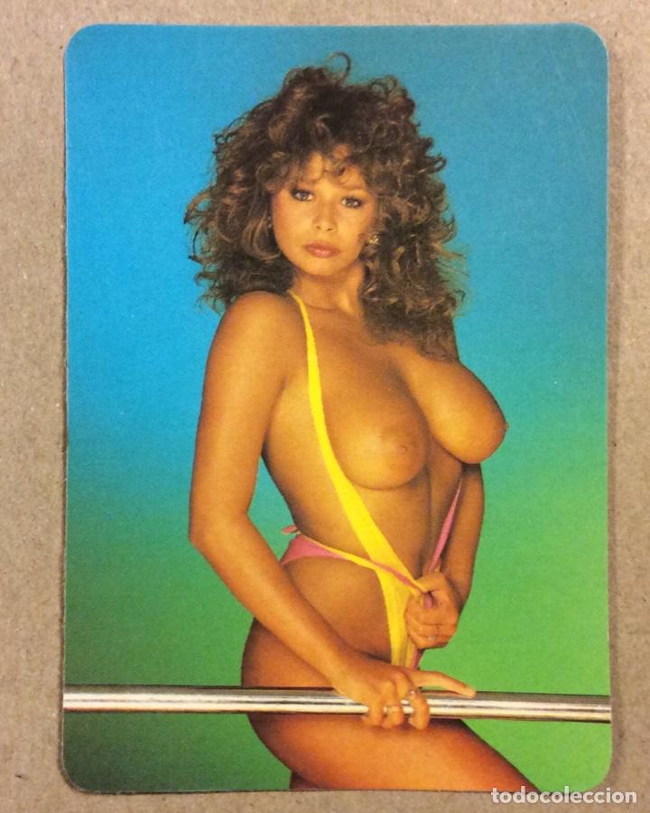 Kalender: TABERNA TAURINA Y TABERNA 2 (BILBAO) CALENDARIO PUBLICITARIO ER&Oacute;TICO DE 1993.