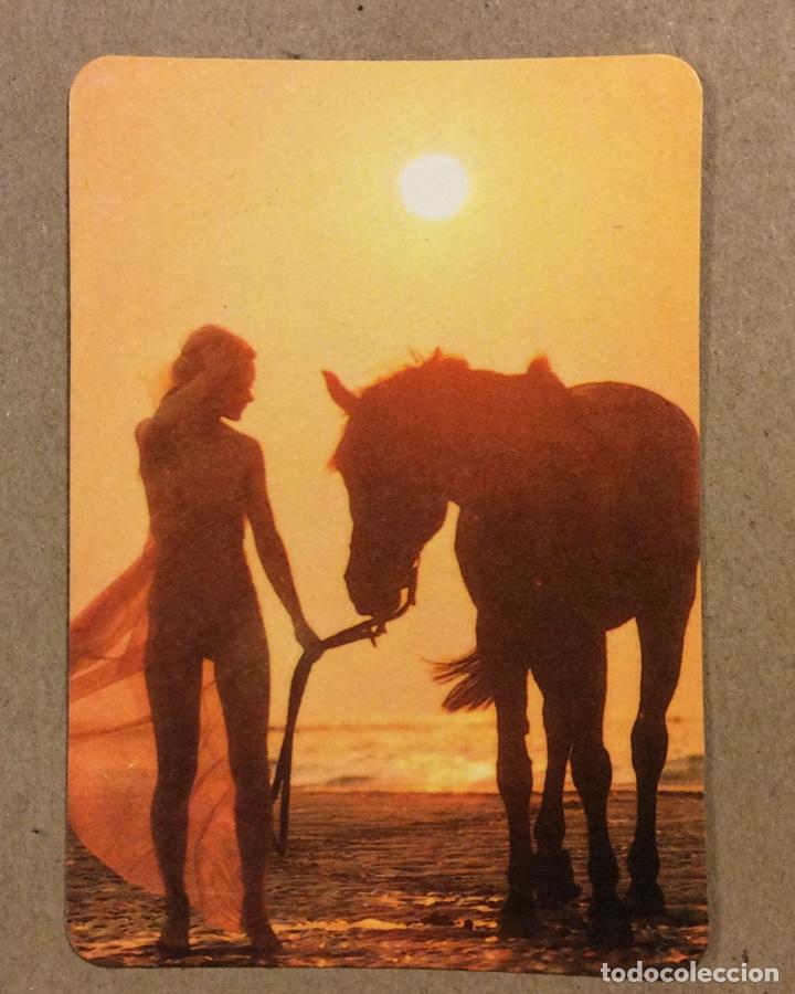 Kalender: PHONOS M&Uacute;SICA Y SONIDO (BILBAO) CALENDARIO PUBLICITARIO ER&Oacute;TICO DE 1984.