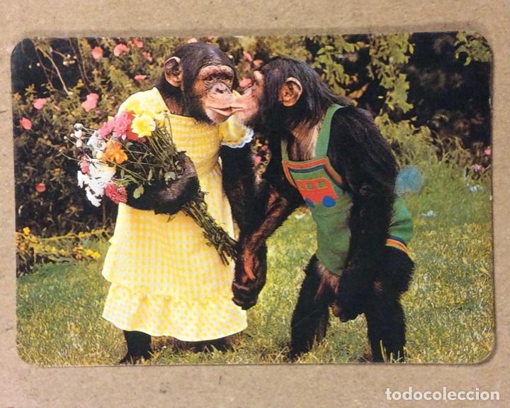 Kalender: UPT UNI&Oacute;N DE PEQUE&Ntilde;OS TRANSPORTISTAS DE VIZCAYA. CALENDARIO PUBLICITARIO DE 1995.