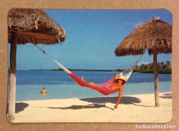 Kalender: BAR MUNARRI Y BAR ELAI (SOPELANA). CALENDARIO PUBLICITARIO DE 1995.