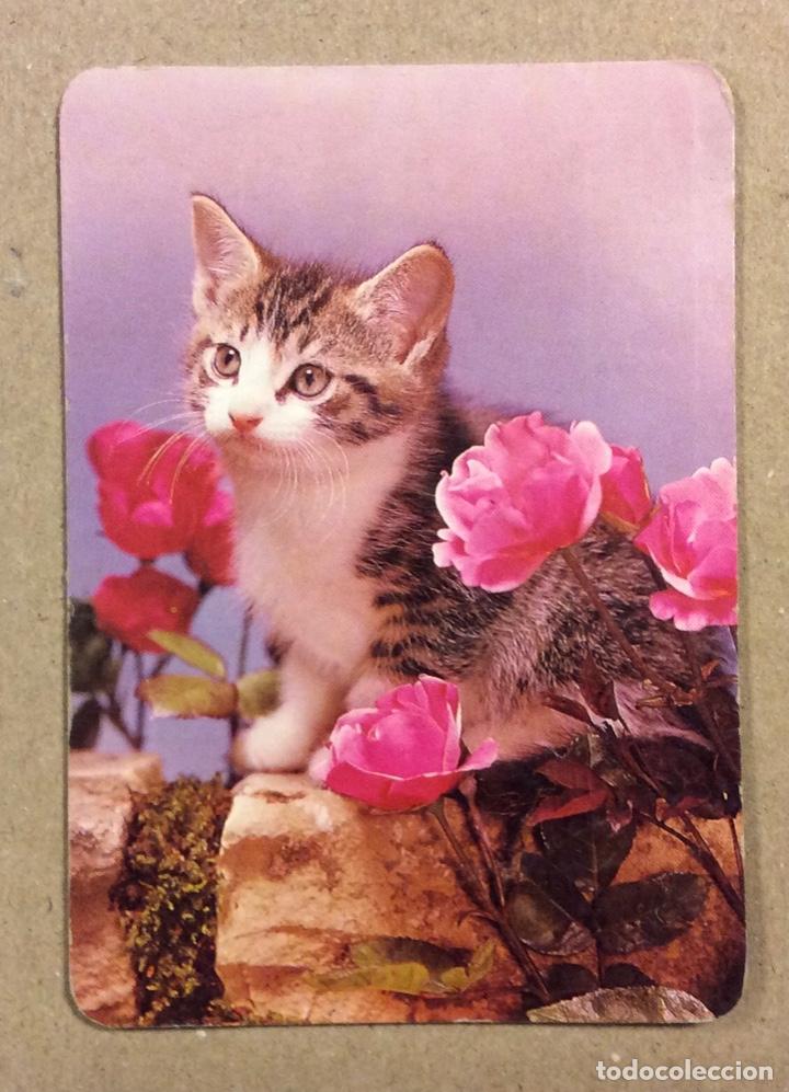 Kalender: BILBO ZOO (BILBAO). CALENDARIO PUBLICITARIO DE 1995.