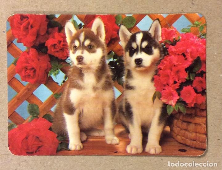 Kalender: GR&Uacute;AS D&Iacute;AZ (BARAKALDO). CALENDARIO PUBLICITARIO DE 1995.